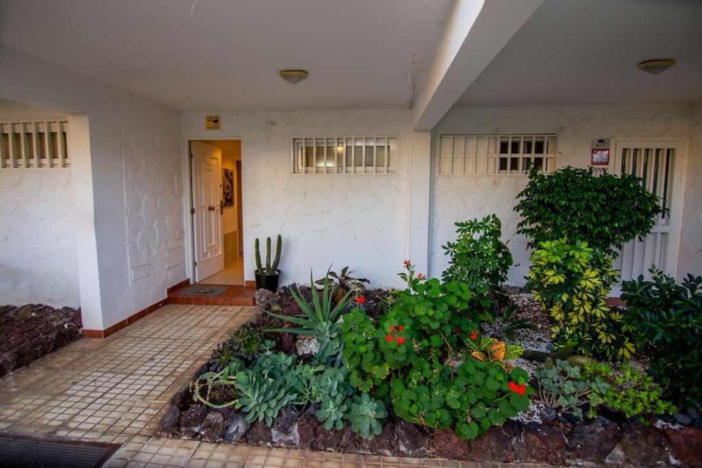 Donna Ida Apartment コスタ・デル・シレンチオ エクステリア 写真
